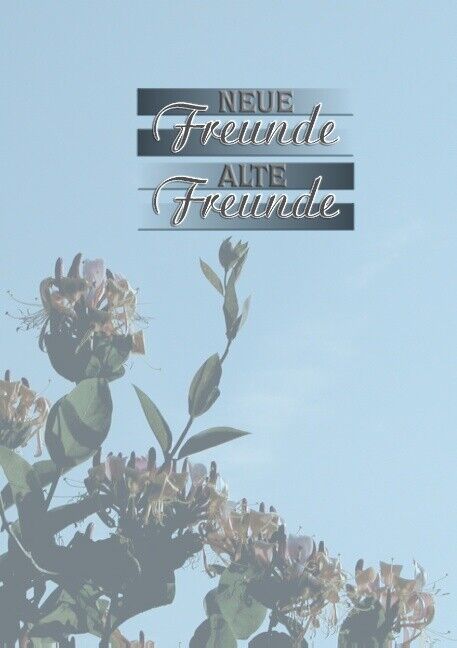 Thumbnail - Stefanie Gellweiler / Neue Freunde - Alte Freunde