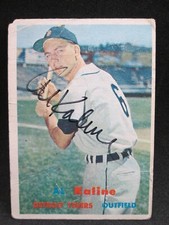 Detroit Tigers Collecting and Fan Guide 74