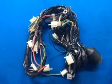 NEW DINLI GENUINE OEM F040109 MAIN WIRE ASSY 150cc Helix Diablo