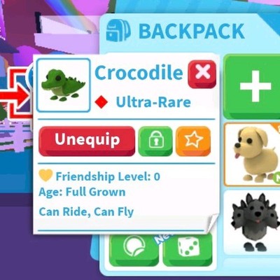 Crocodile- FR - Full Grown