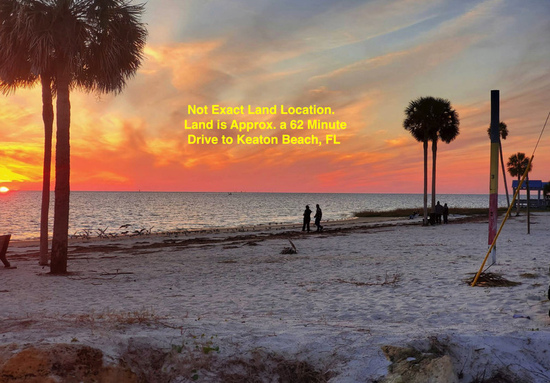 NO RESERVE! RARE! Land for Sale Florida- About 1 Hour To Beach/Ocean 0.52 Acres