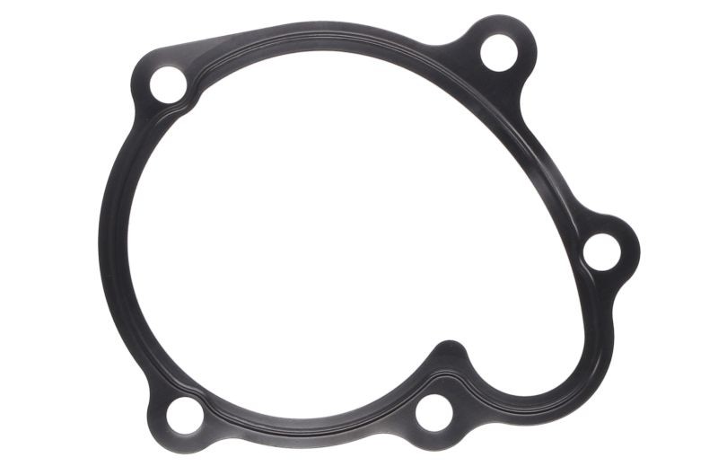 Fits ELRING EL238460 Water pump gasket EL238460 Water pump gasket fit ⭐UK Stock⭐