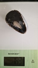 Flint Stone 163gramme 7cm Approx, Beautiful Original Piece Display Collectable