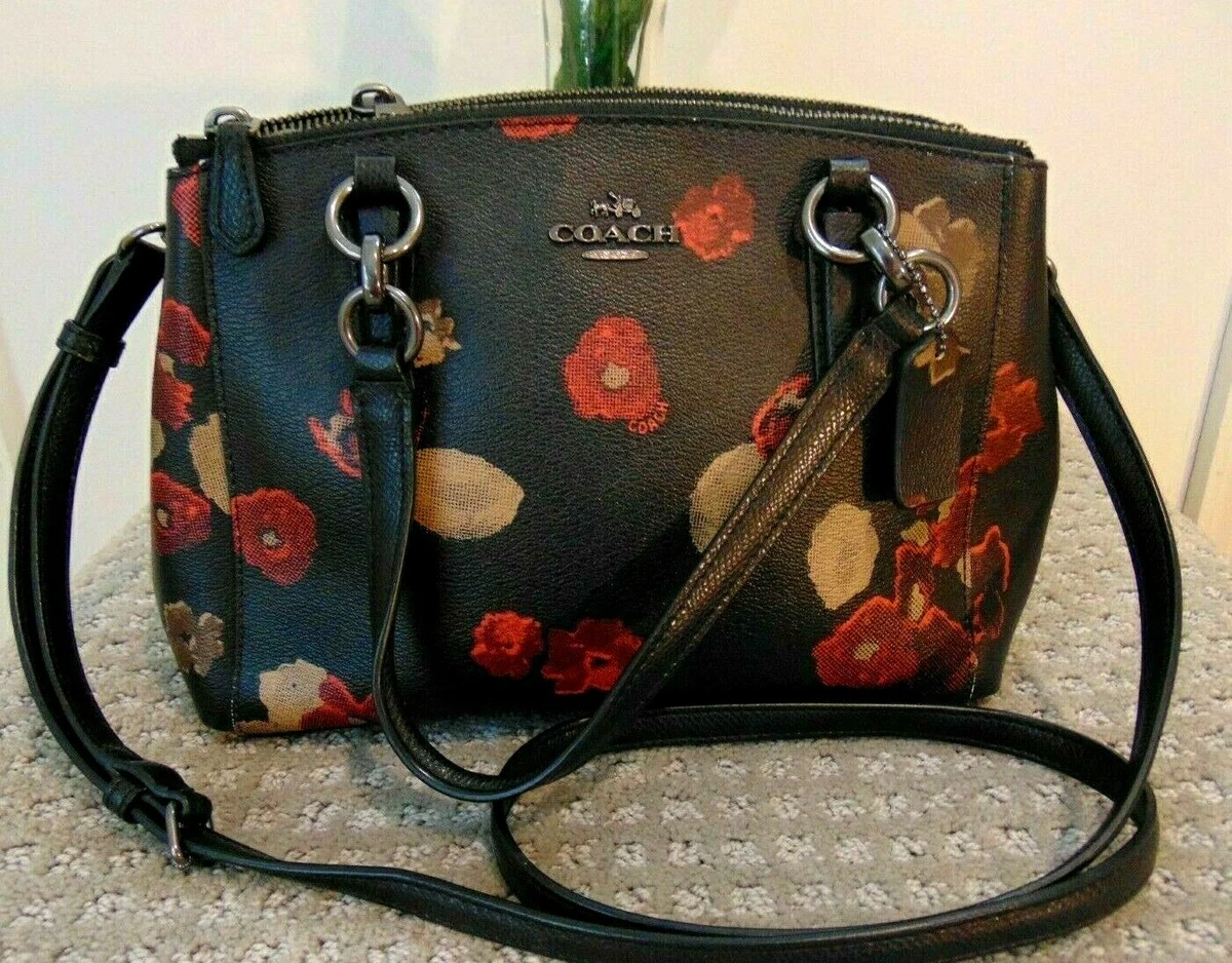 Coach mini christie carryall shop in signature