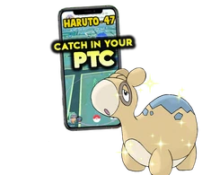 Pokemon Shiny Numel Catch in your P T C