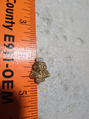 Vintage FOE Fraternal Order Eagles 20 year pin ; Home Country God (21-1305)