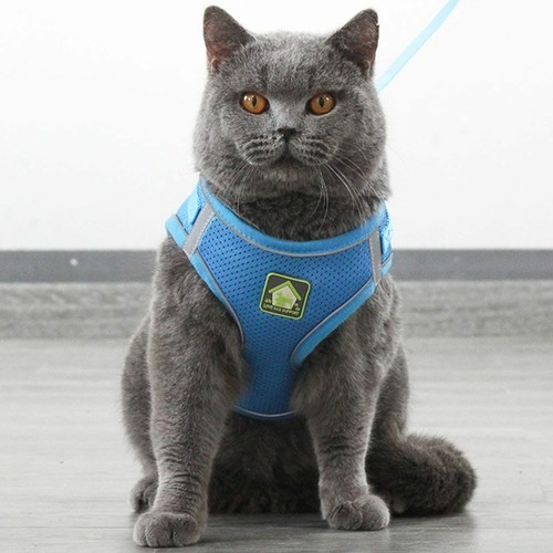 Mesh Padded Soft Puppy Pet Dog Harness Breathable Comfortable 5 Colors 5 Sizes - Picture 5 of 17