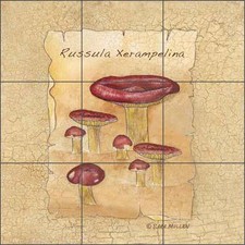 Ceramic Tile Mural Backsplash Mullen Mushroom Funghi Kitchen Art SM069
