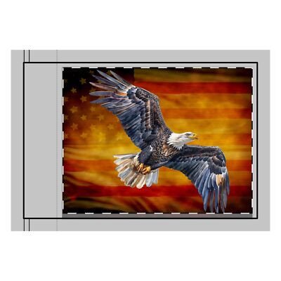 Vintage American Flag & Eagle Art  Double-Sided Flag for Patriotic up to 36x60