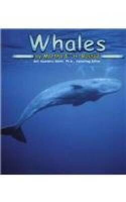 Whales (Ocean Life) - Library Binding By Rustad, Martha E - GOOD