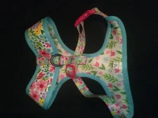 Dog Harness and Matching Leash set