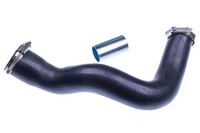 Ladeluftschlauch Turboschlauch FüR Renault Laguna III 2.0 Dci Latitude