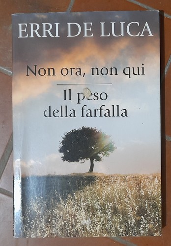 ERRI DE LUCA NICHT JETZT, NICHT HIER - DAS GEWICHT DES SCHMETTERLINGS MONDADORI 2010