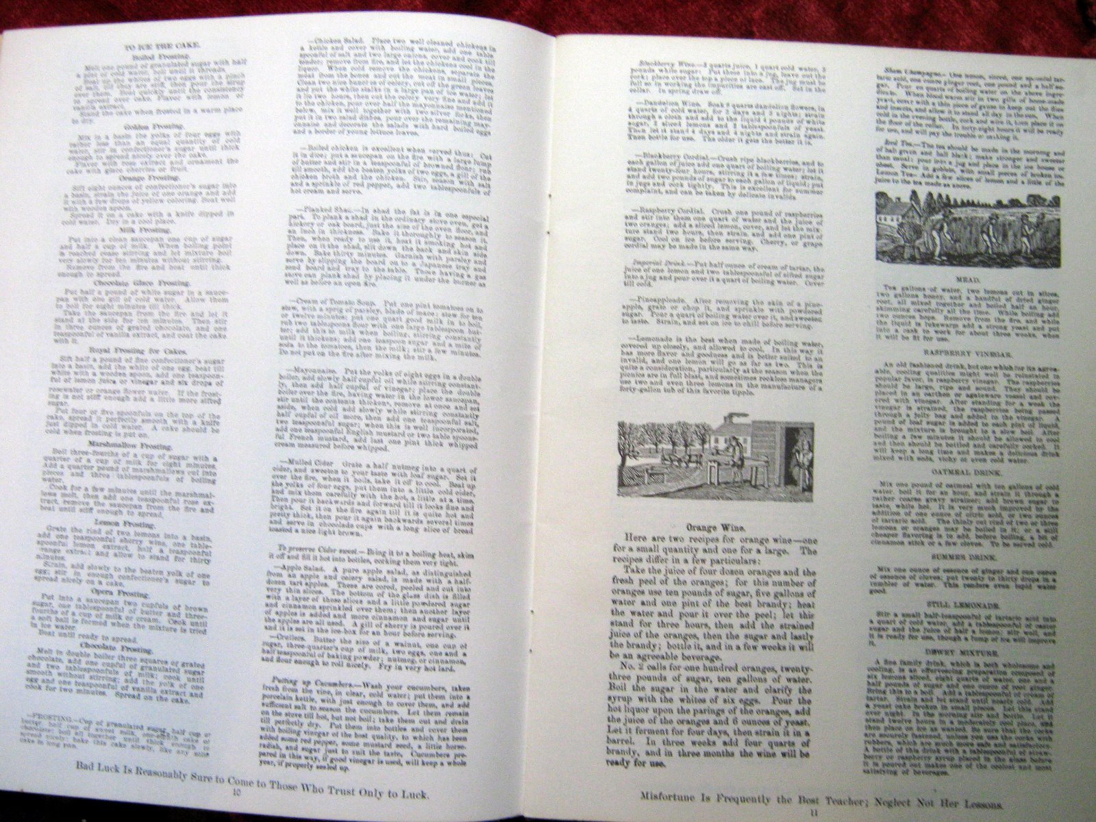 Picture 5 of 7