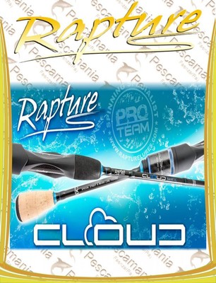 Canne spinning Rapture Aerial 6'6" 2-12g Light spinning Area Game