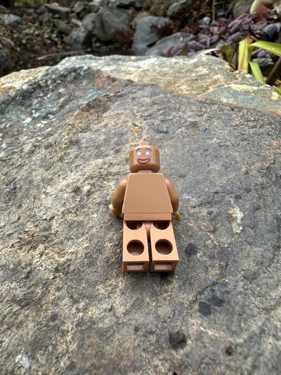 LEGO Shrek Gingerbread Man Benny Stellar Brick Exclusive Custom