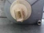 Imagen 3 de 10