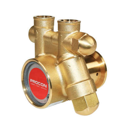 PROCON 111A050F11AA - 3/8'' NPT Brass Rotary Vane Pump Series 1