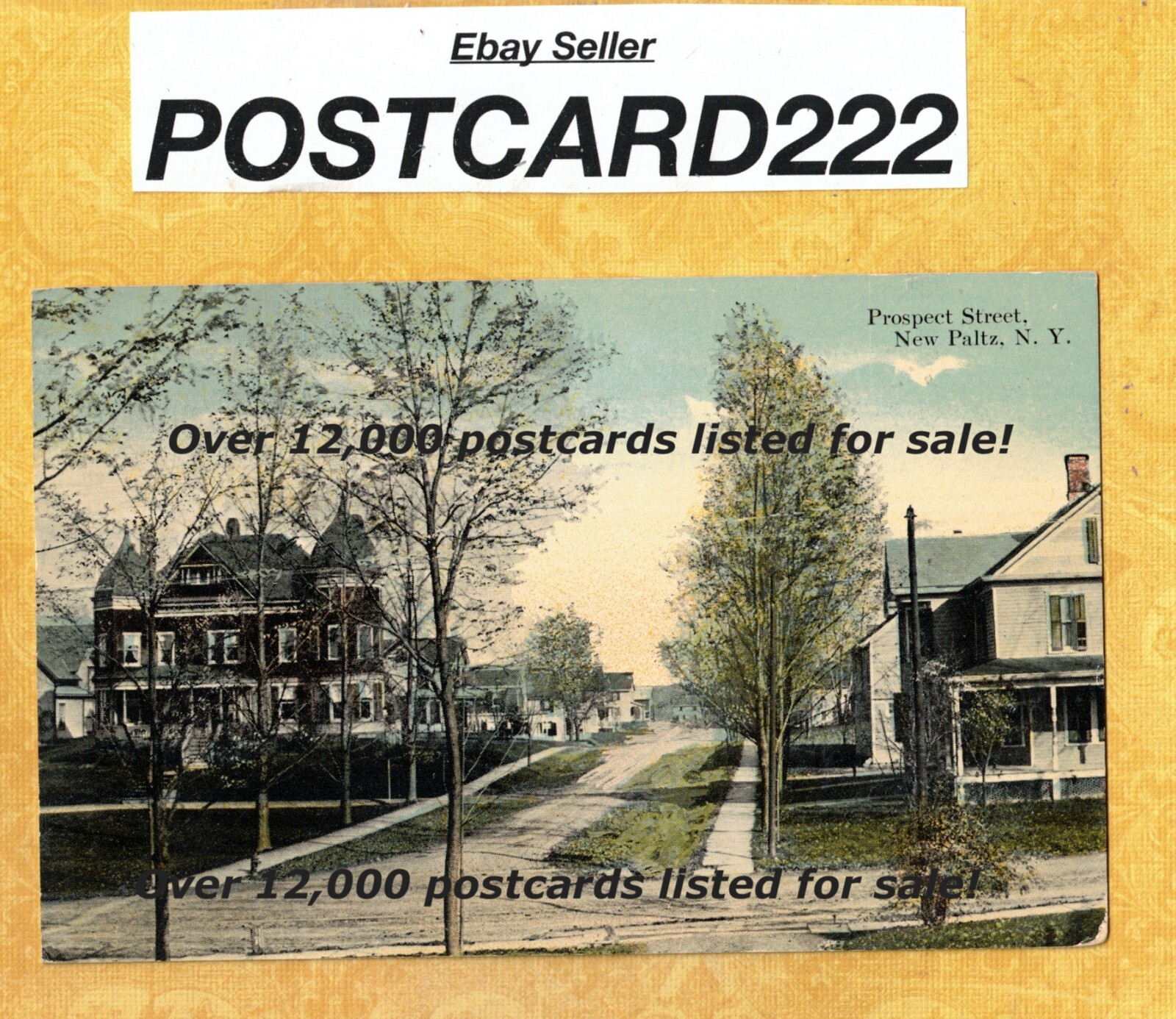 NY New Paltz 1940 vintage postcard HOUSES ON PROSPECT ST NEW YORK eBay