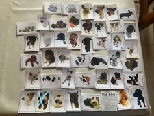 PANINI IMAGE STICKER THE DOG ANIMALS 1 CHOICE 2006 DOG ANIMAL