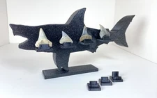Fossil Shark Tooth Display Stand, Custom Design/3D Printed, Megalodon-Inspired