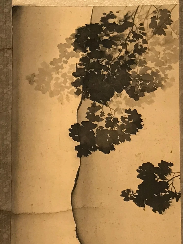 Pergamino colgante japonés de colección mirando al cielo color montaña Kakejiku SC821 Foto 2 de 4