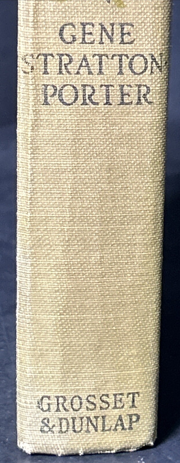 Picture 6 of 19