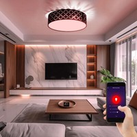 Deckenleuchte Lampe Wohnzimmerleuchte Smart Rgb Led Dimmbar Cct Textil Schwarz