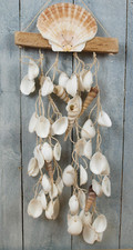 Maritimes Windspiel Muschel Mobile Wandhänger Länge 59cm Wanddeko Treibholz