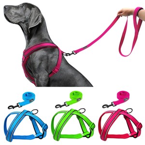 dog strap