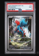 2025 Pokemon White Flare Druddigon #151 Illustration Rare PSA 9 Mint
