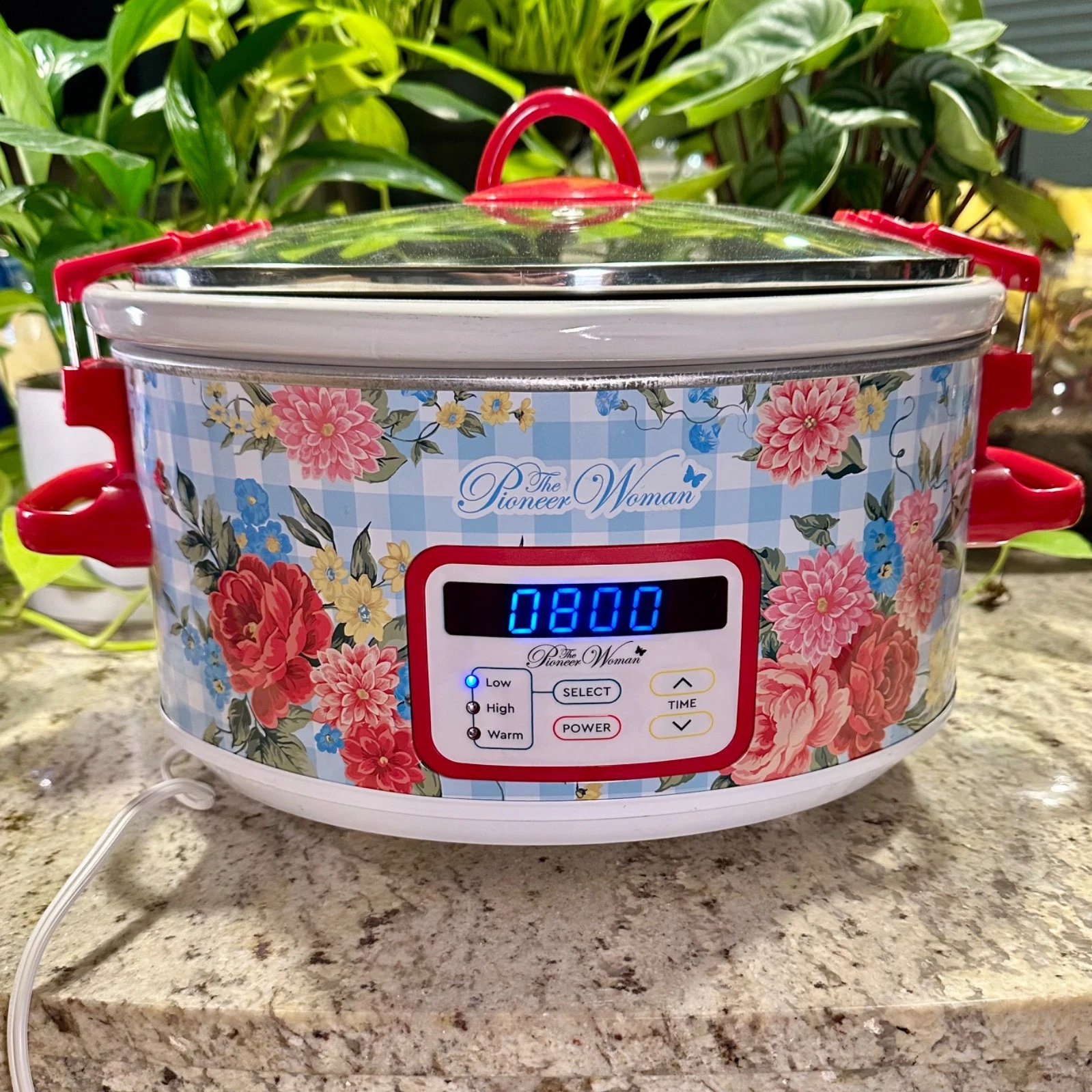 Pioneer Woman Floral Slow Cooker Digital 6 Qt Crock Pot Gingham Tested Works EUC