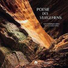 Poesie des Vergehens, Sam V. Furrer
