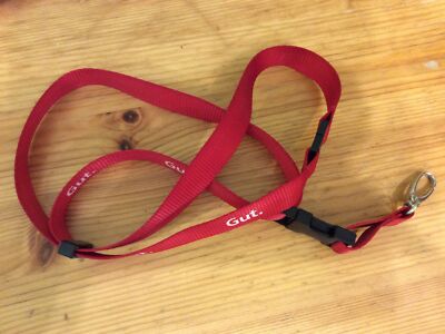 Sparkasse Gut. Ausweishalter Schlüsselband Lanyard Trageband Umhängeband Keylace