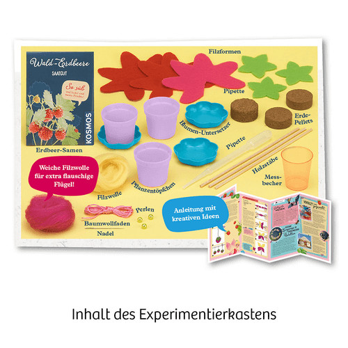 Thumbnail - Feen-erdbeeren