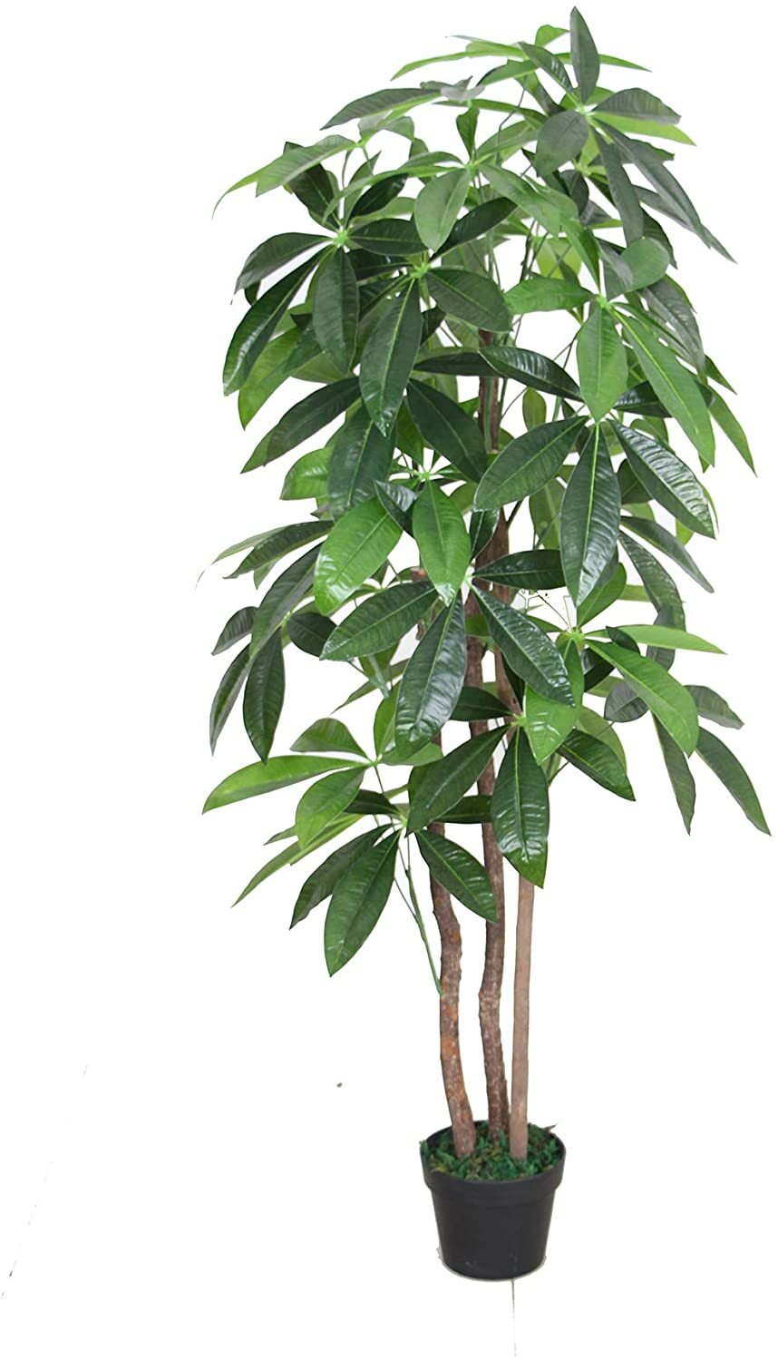 Large Artificial Tree Indoor Home House Plant 150cm 5' 5ft Tall in Pot