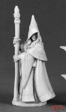 Reaper 03491 Anirion, Wood Elf Wizard Dark Heaven Legends Metal Miniature