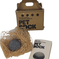 Original Pet Rock Vintage 1970s Complete with Box  Instruction Book Retro Toy