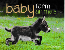 BABY FARM ANIMALS 2026 Wall Calendar 12-month with Dec 2025 Beautiful Photos