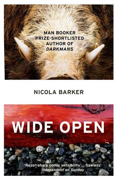 Nicola Barker | Wide Open | Taschenbuch | Englisch (2011) | EAN 9780007435722-image