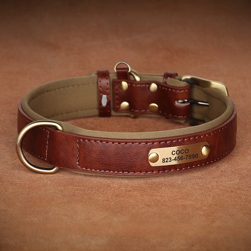 Personalised Dog Collar Padded Custom Pet ID Name Number Adjustable Neck Strap - Picture 7 of 20