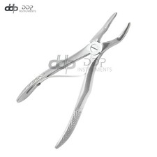 Extracting Forceps 562 Dental Surgical Instruments Stainless Steel
