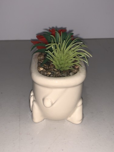 Nightmare Before Christmas Lock Shock & Barrel in Vasca da Bagno 3” Finta Succulenta NUOVO - Foto 2 di 4