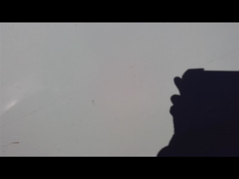 Picture 1 of 13