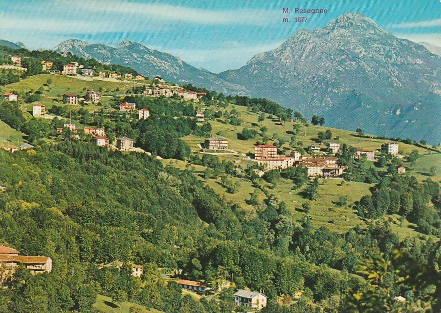 RONCOLA DI S BERNARDO PANORAMICA VIAGGIATA ANNO 1981 VIAGGIATA