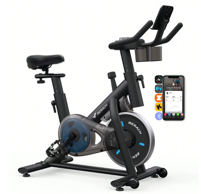 Heimtrainer LCD Display, Stationäres Fahrrad, exklusive App, 300lbs, Ausrüstung