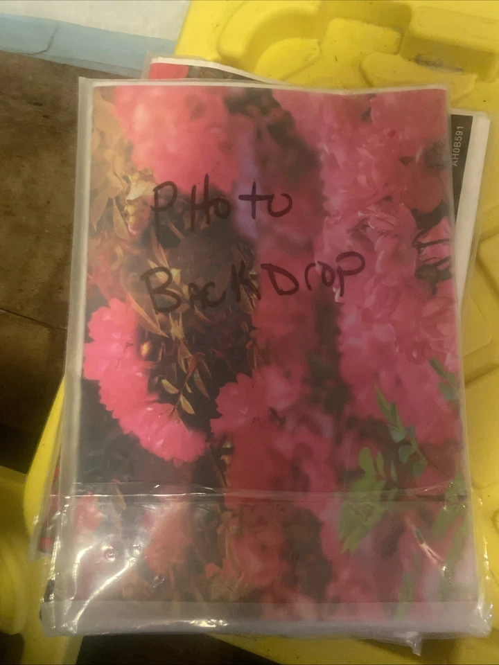 Photo Back Drop - Image 3 of 3