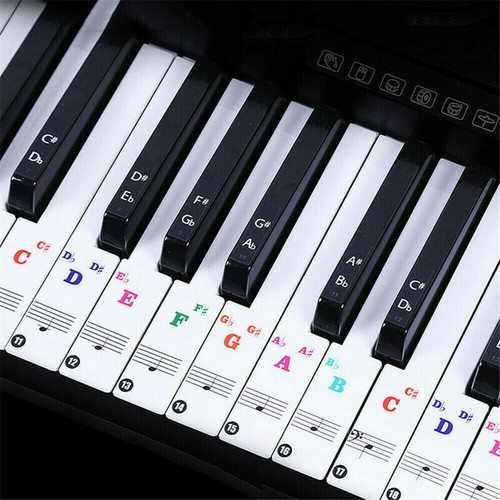 UK Piano Stickers Keyboard Music Note Chart Removable Decal 49 54 61 88 Keys - 第 4/12 張圖片