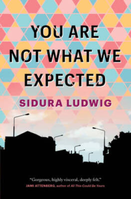 You Are Not What We Expected - Paperback By Ludwig, Sidura - VERY GOOD