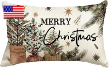 Merry Christmas Eucalyptus Red Berries Throw Pillow Cover, 12 X 20 Inch Winter H